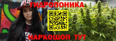 стаф Берёзовский
