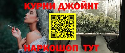 стаф Берёзовский